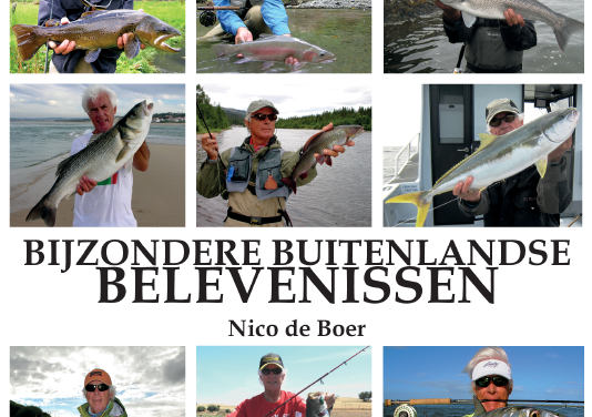 “Bijzondere buitenlandse belevenissen” van Nico de Boer
