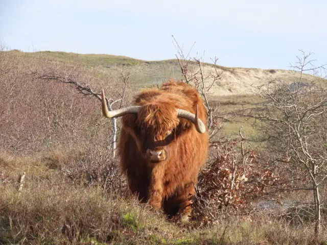 4 okt: Herfstwandeling combineert natuur en historie in Bergen aan Zee